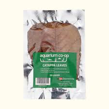 Aquarium Co-Op 20 Catappa Leaves - 20 Pack