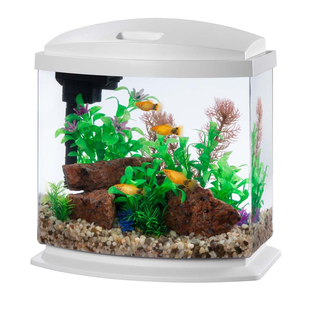 Aqueon Aquarium Starter Kit with LED Lighting, 5.5 Gallon