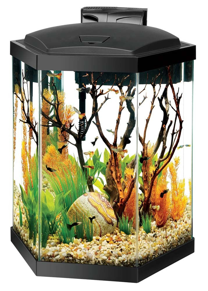 Aqueon Hexagon LED Aquarium Kit Black - Gallons The Fish