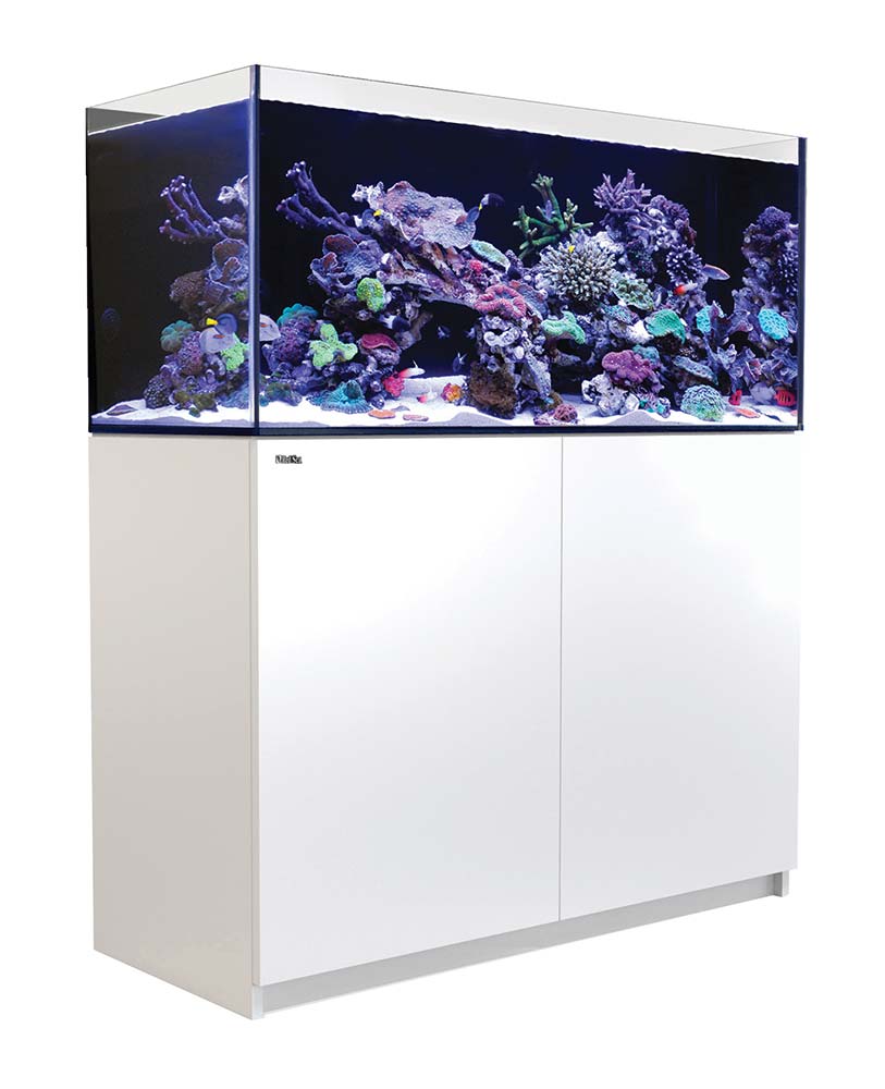 Skæbne Grusom tiltrækkende Red Sea REEFER XL 425 G2+ Rimless Aquarium 112 Gallon | The Fish Room